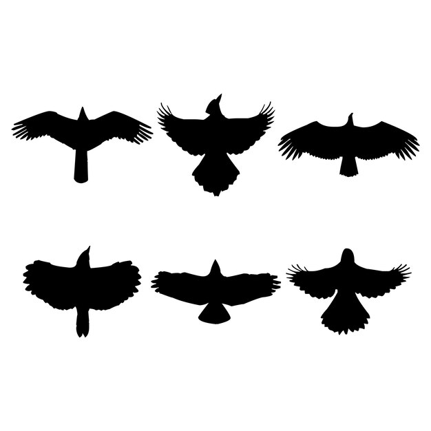 Vector flying bird silhouette set design inspiration vector illustration