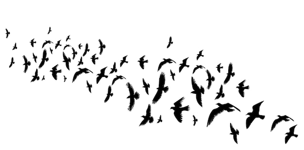 Flying birds black silhouette isolated vector