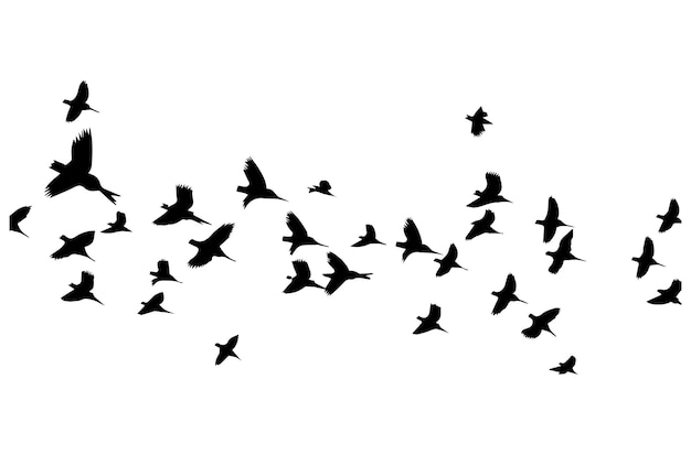 Flying birds black silhouettes set vector