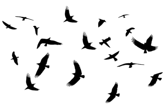 Flying birds black silhouettes set vector