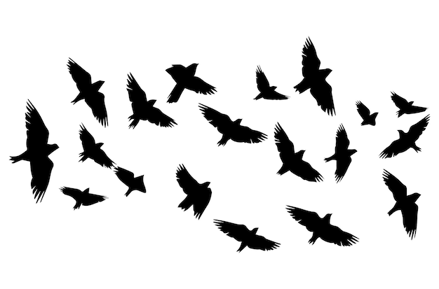 Flying birds black silhouettes set vector