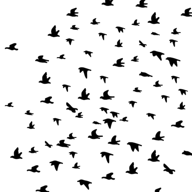 Vector flying birds doodle