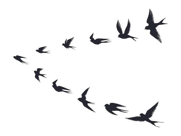 Flying birds flock silhouette. Swallows, sea gull or marine birds isolated on white background. Vector bird icon set flock flying in sky