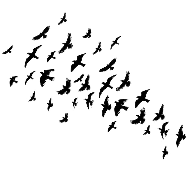 Flying birds set silhouette isolated on white background vector