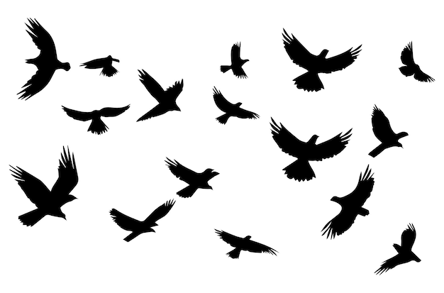 flying birds silhouette set flying birds icon set Set of flying birds silhouettes