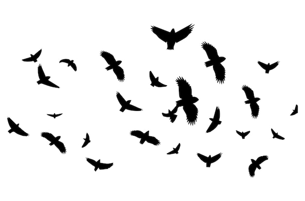 Flying birds silhouette set flying birds icon set set of flying birds silhouettes