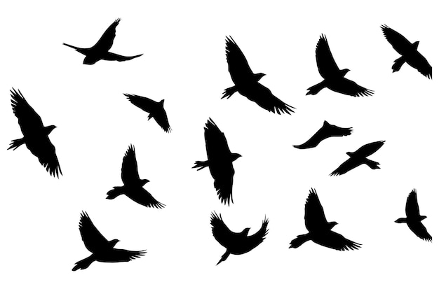 Flying birds silhouettes Vector illustration white background