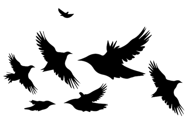 ベクトル 飛行する鳥のシルエット ベクトルイラスト 白い背景