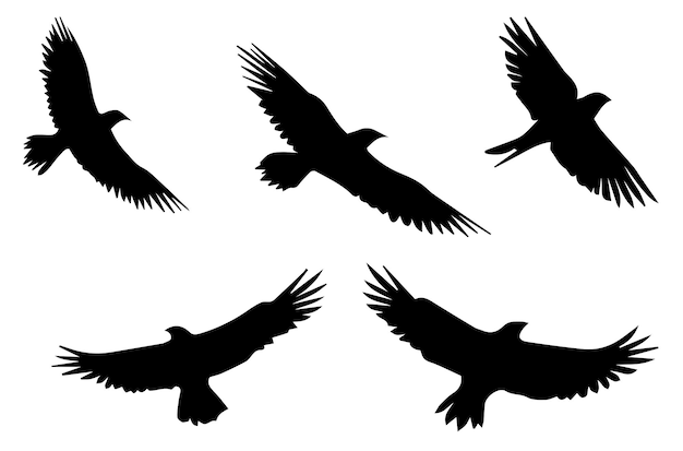 飛行する鳥のシルエット ベクトルイラスト 白い背景