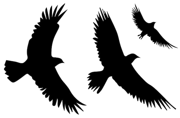 Vector flying birds silhouettes vector illustration white background