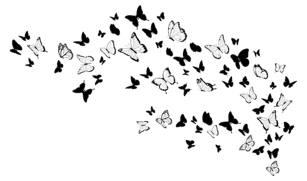 Летающие черные силуэты бабочек. Элемент векторного дизайна