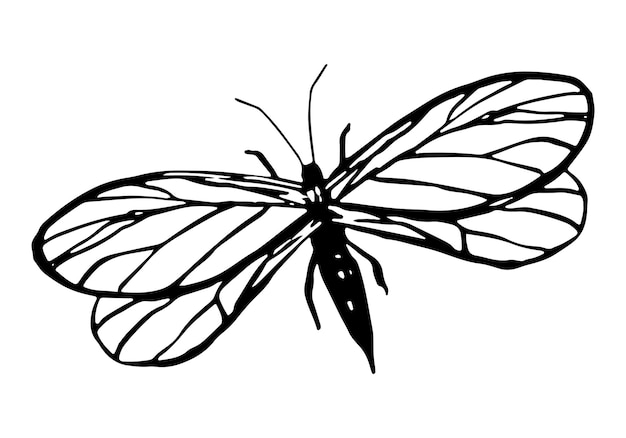 flying bug clip art