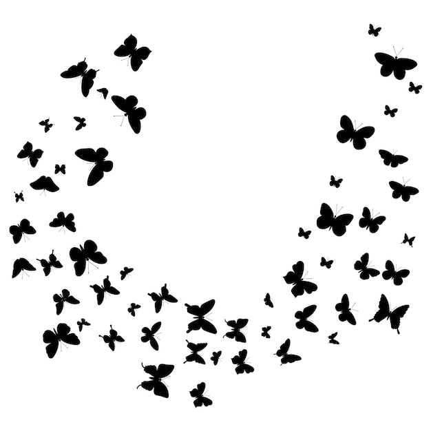 Flying butterflies on a black silhouette background isolated vector