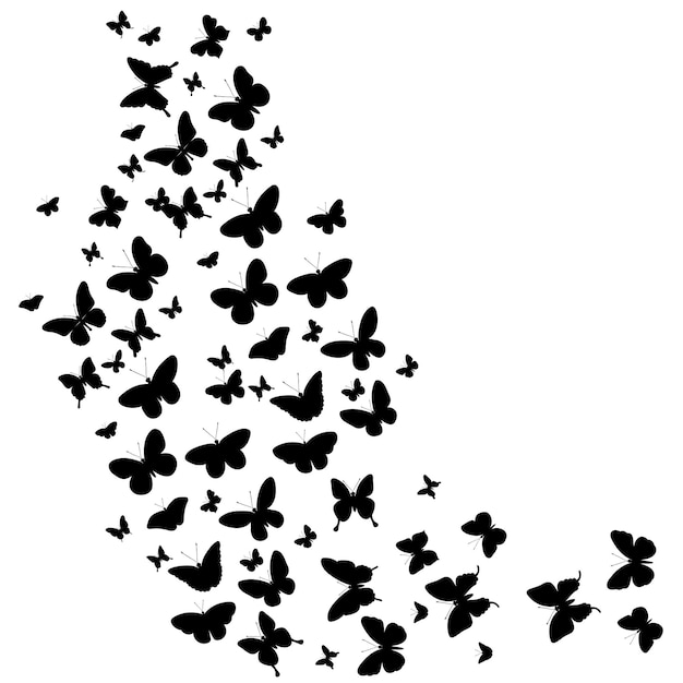 Vector flying butterflies silhouette on white background vector