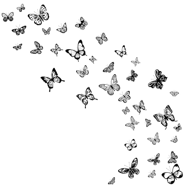 Flying butterflies silhouette ,on white background, vector