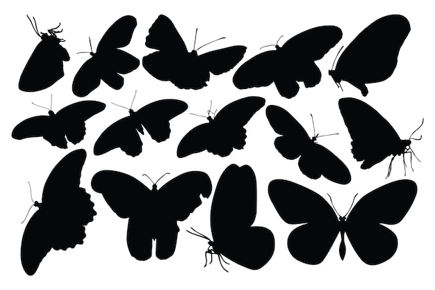 Flying Butterfly Silhouette Black Bundle