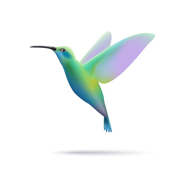 Flying colibri 3d illustration soft gradient shape isolated