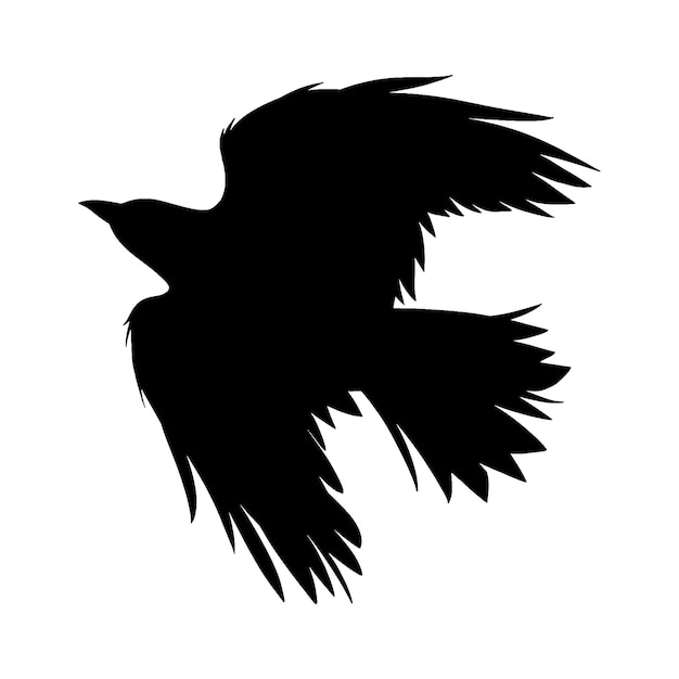 Flying crow silhouette