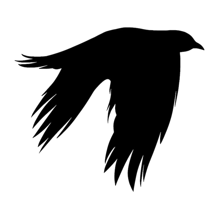 Vector flying crow silhouette