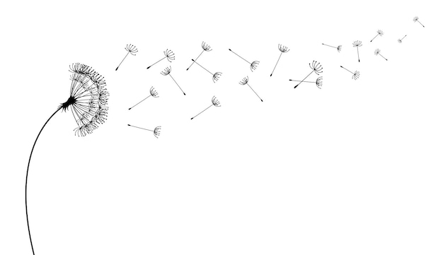 비행 민들레 씨앗 벡터 아이콘 흩어져있는 실루엣에서 벡터 격리 장식 요소