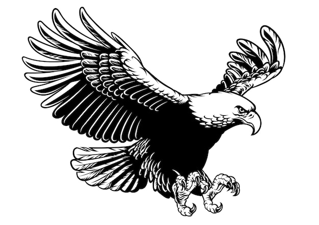 Flying eagle in hand drawing black and white style