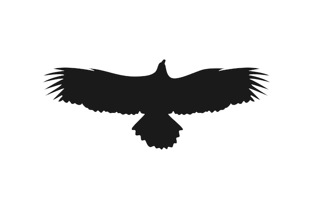 Vector flying eagle hawk falcon wing vector silhouette black background illustration