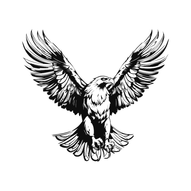 Flying eagle silhouette Vector illustration