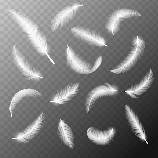 Vector flying feathers falling twirled fluffy realistic white swan dove or angel wings feather flow