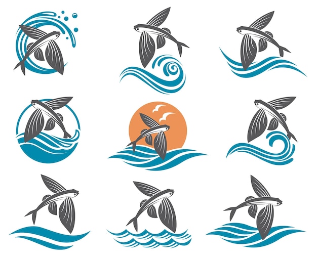 Vector flying fish illustrations set