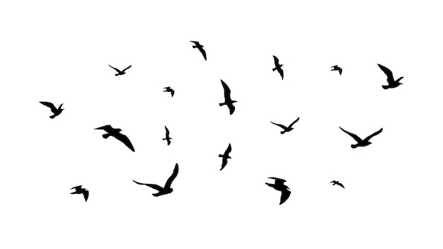 Flying flock of birds. Flight bird silhouettes, isolated black doves or seagulls collection