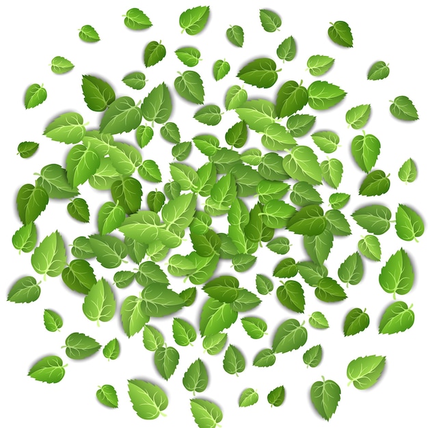 Vettore foglie verdi volanti su sfondo bianco motivo a foglia di primavera su sfondo isolato lascia la pianta vettore
