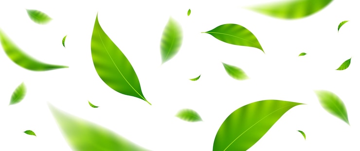 Vector flying leaves design suitable for design elements