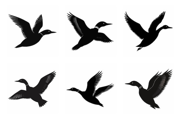flying Loon color silhouette