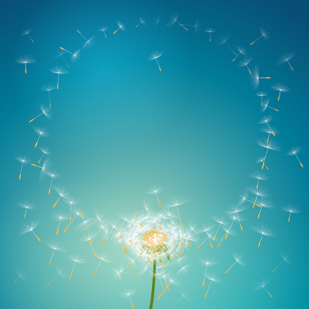 Vector flying parachutes from dandelion forming round floral frame background