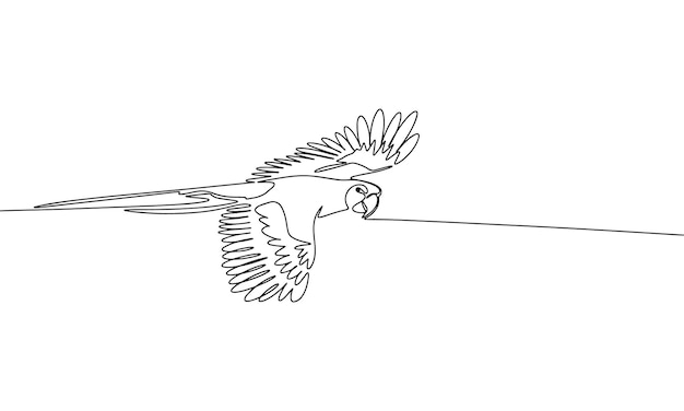 Flying parrot One line continuous abstract conception of tropical bird Line art outline