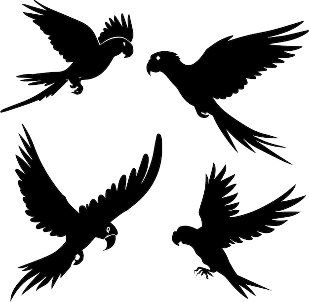 Flying parrot vector silhouette 1