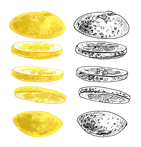 Летающие кусочки свежего лимона. векторная винтажная цветная иллюстрация.