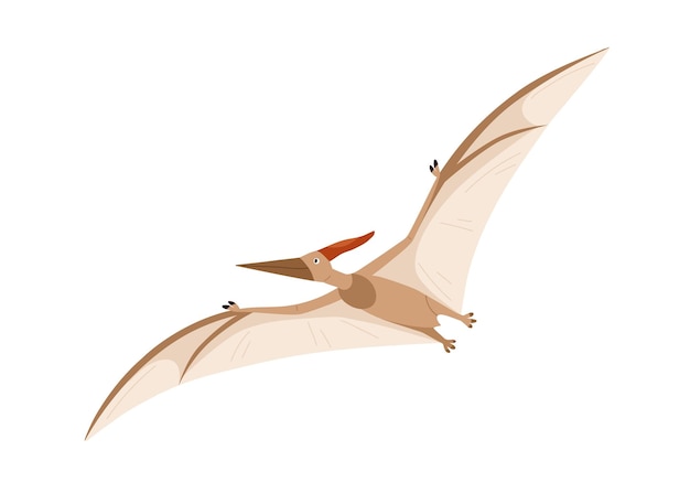 Pterosauro volante o pterodattilo dino. dinosauro estinto dell'antico periodo giurassico. carattere preistorico. illustrazione vettoriale di cartoni animati piatti colorati isolata su sfondo bianco.