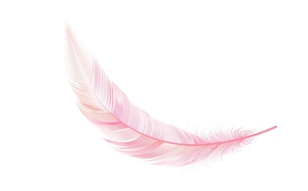 flying realistic vector goose or swan orange feathers