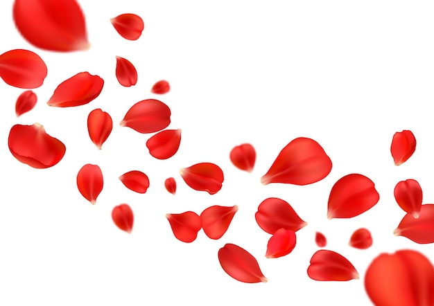 Flying rose petals romantic valentine background