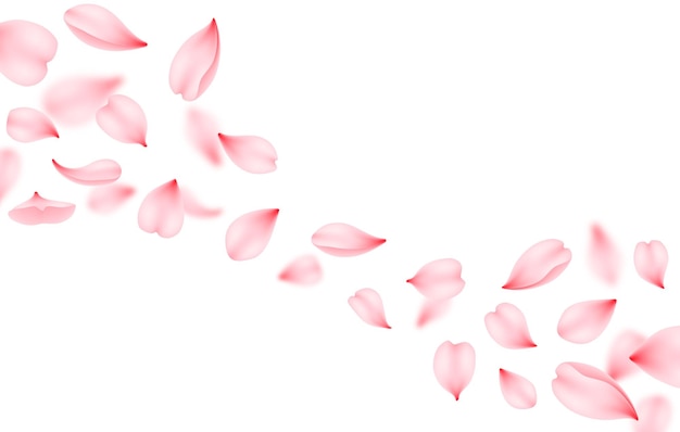Vector flying sakura vector background pink cherry petal
