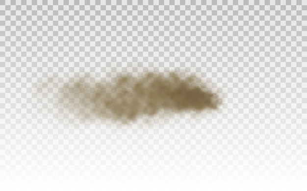 Vector flying sand. dust cloud. brown dusty cloud or dry sand flying with a gust of wind, sandstorm. brown smoke realistic texture  illustration.