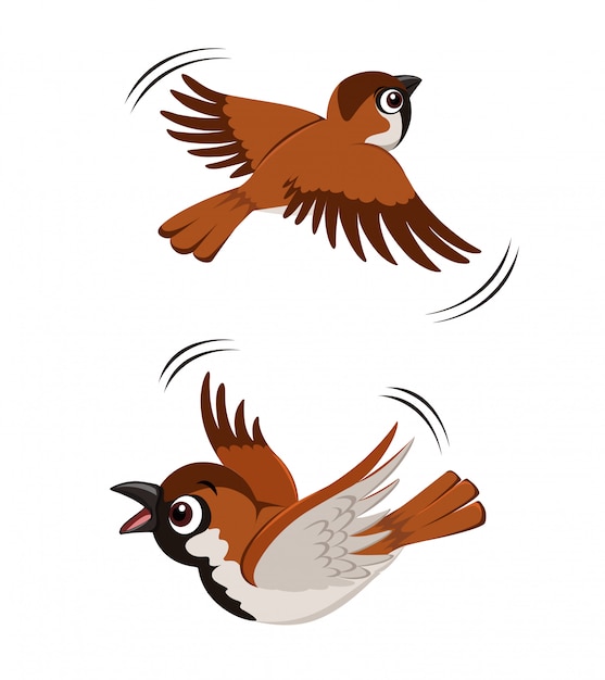 Vector flying sparrow illustration