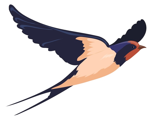 Вектор Летящая ласточка цветной рисунок птицы дикое животное
