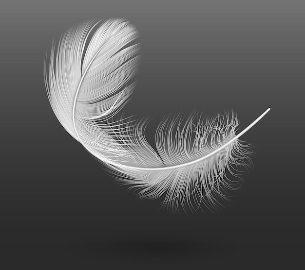 Flying white feather realistic vector illustration on black