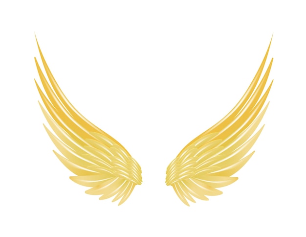 Flying with golden wings isolated on a white d vector