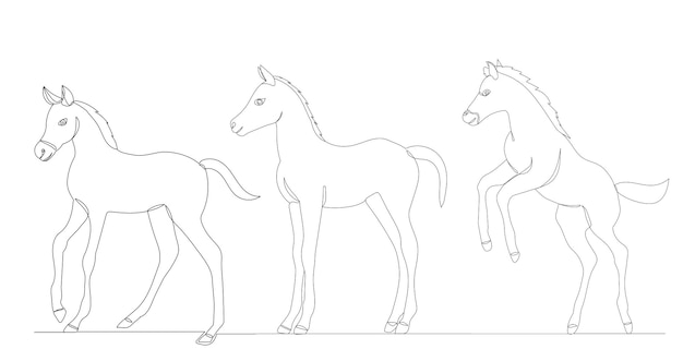 Foals drawing one continuous line vector, isolated