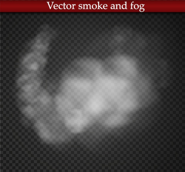 Fog or smoke isolated transparent special effect. White  cloudiness,