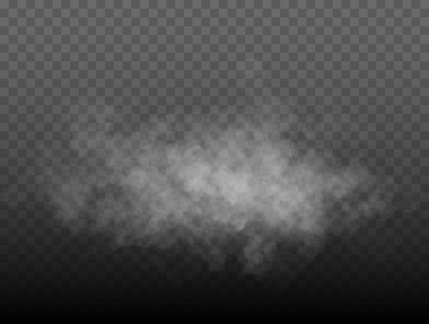 Vector fog or smoke isolated transparent special effect white vector cloudiness mist or smog background vec...