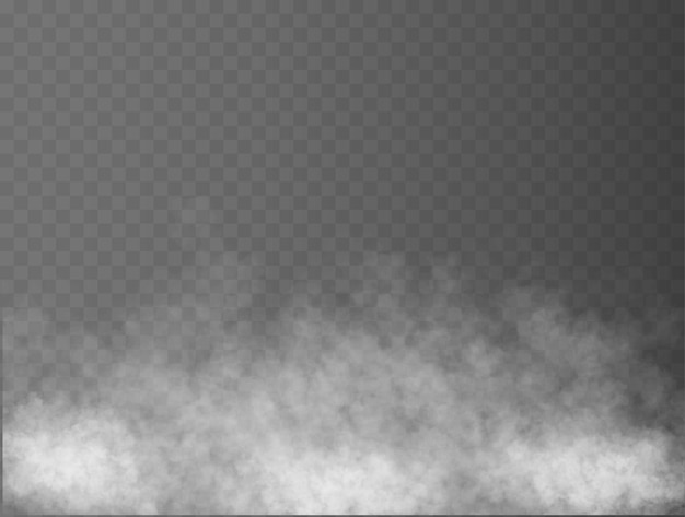 Nebbia o fumo isolato trasparente effetto speciale bianco vettore nuvolosità nebbia o smog sfondo vec...